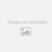 MA11704 UTV Plow Mount - Ranger XP1000 / 900 / Fullsize 570 Channel Tube Roll Cage